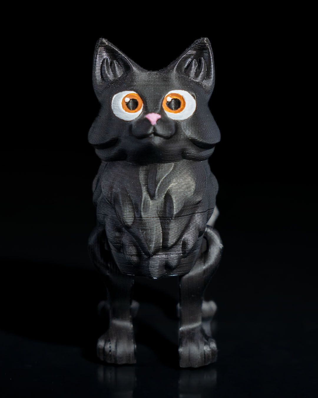 Fluffy Articulated Kitten