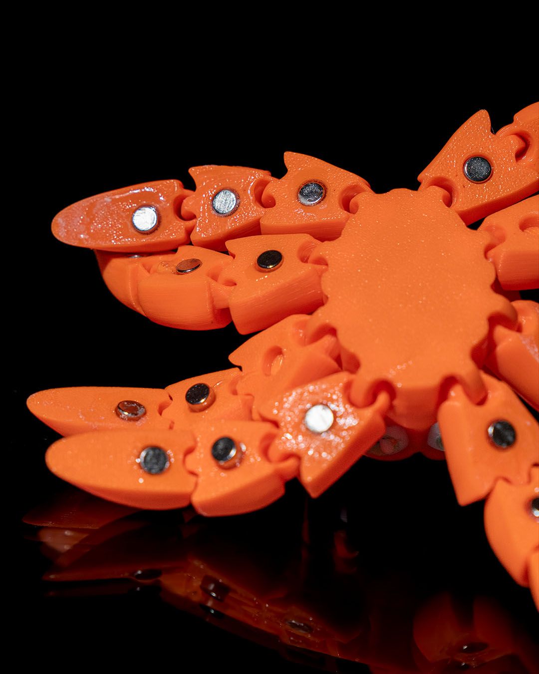 MClingy Octopus · view 5