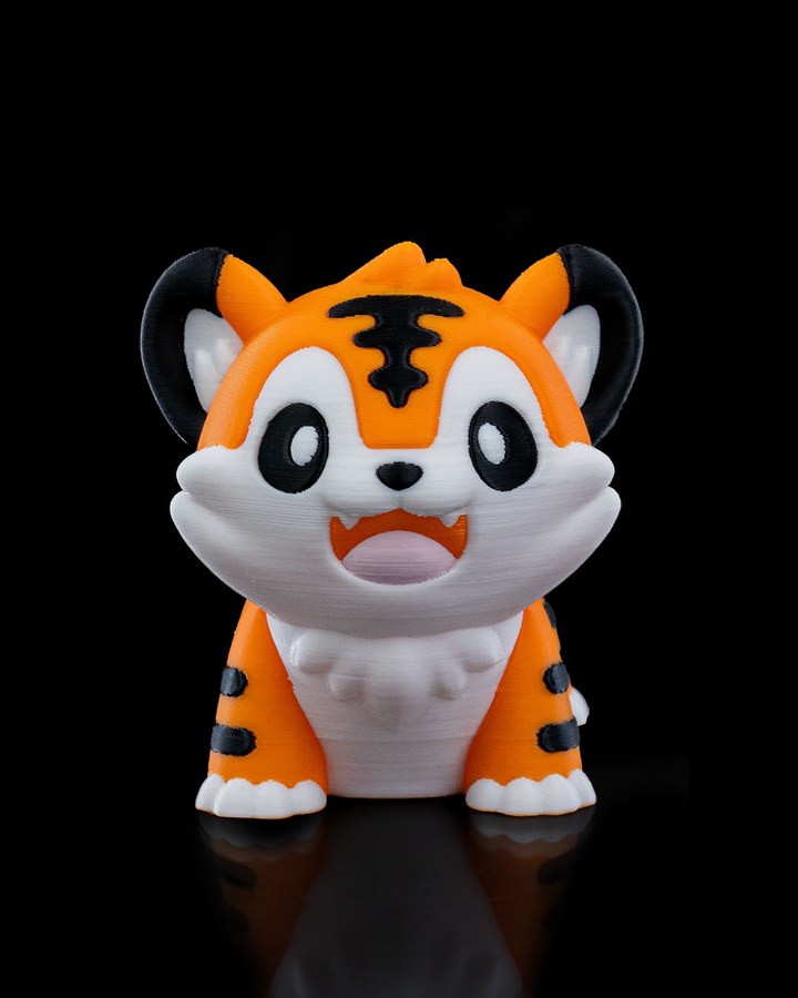 Playful Tiger