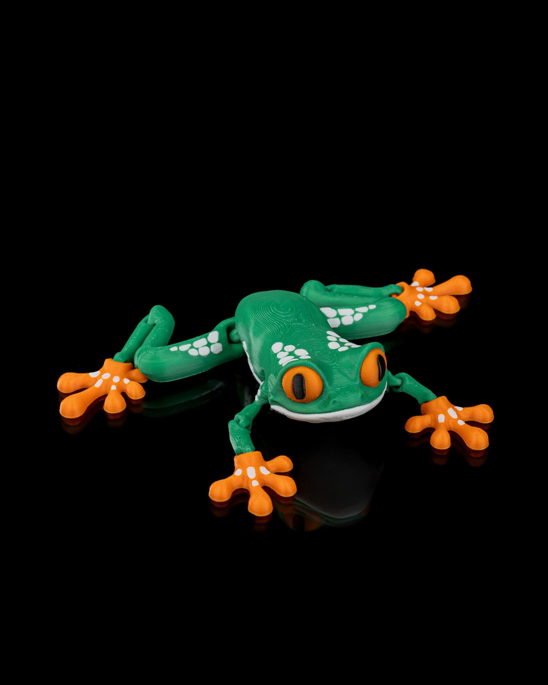 Reed, the Red Eyed Tree Frog · view 2