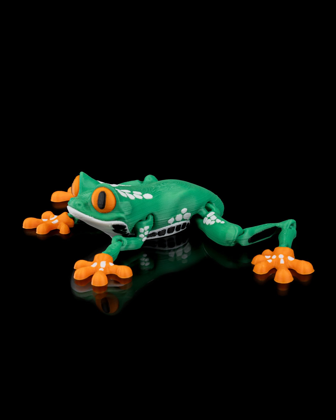 Reed, the Red Eyed Tree Frog · view 3