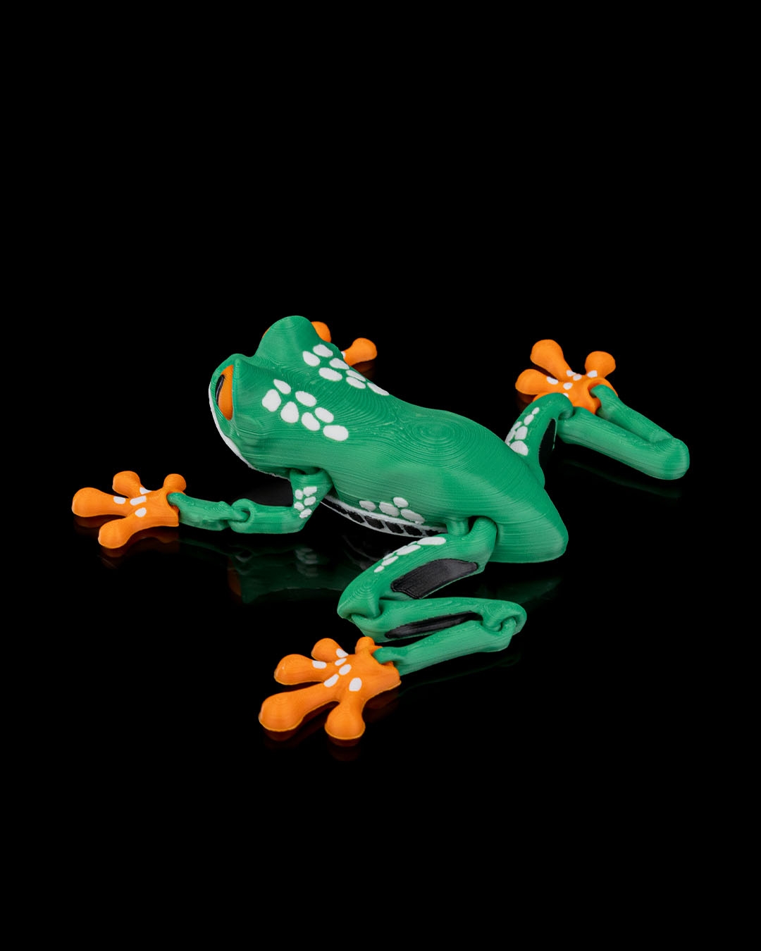 Reed, the Red Eyed Tree Frog · view 4