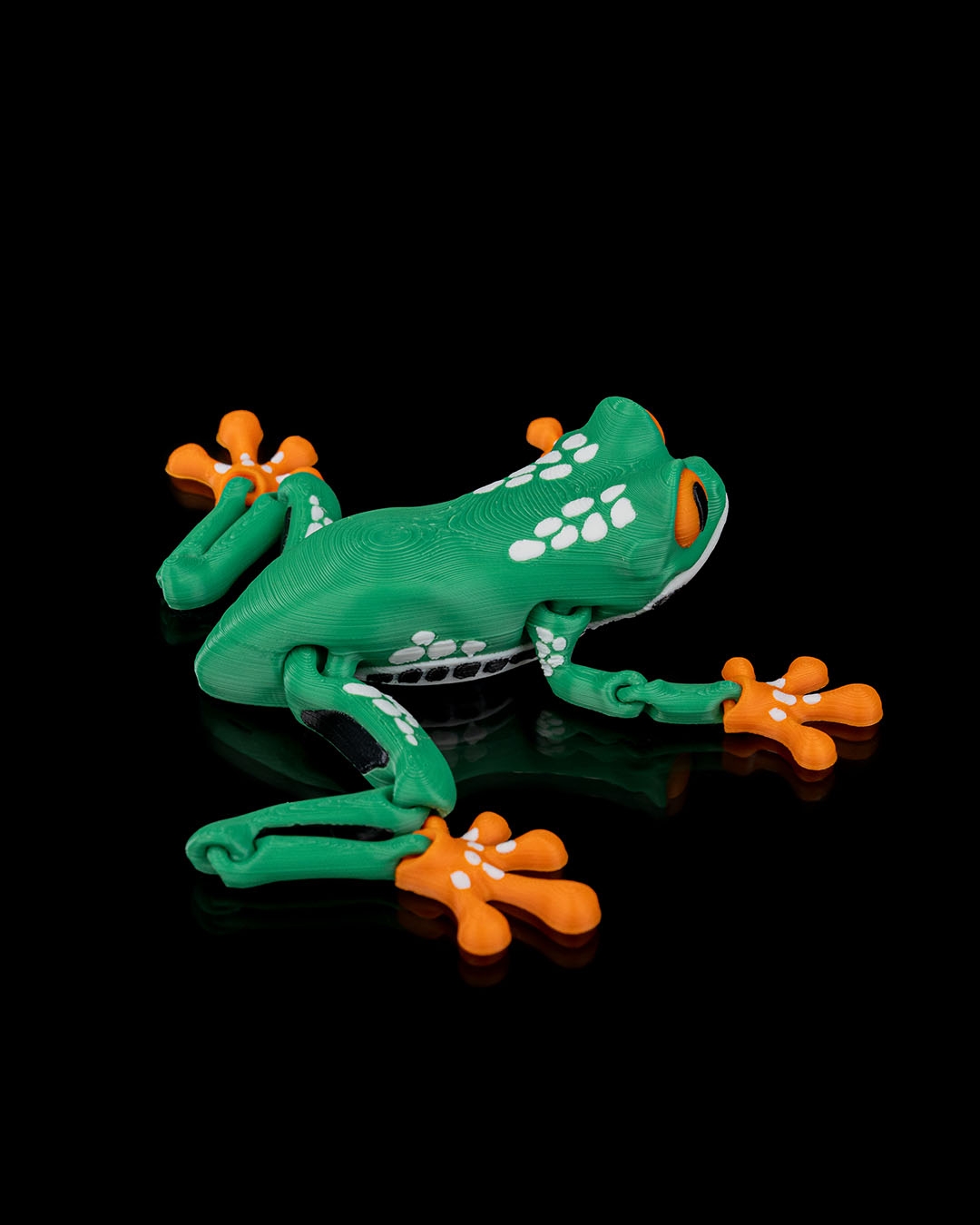 Reed, the Red Eyed Tree Frog · view 5