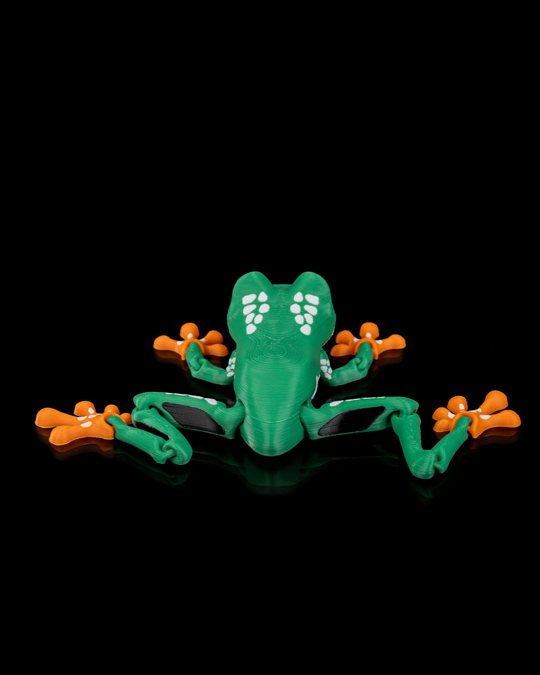 Reed, the Red Eyed Tree Frog · view 6