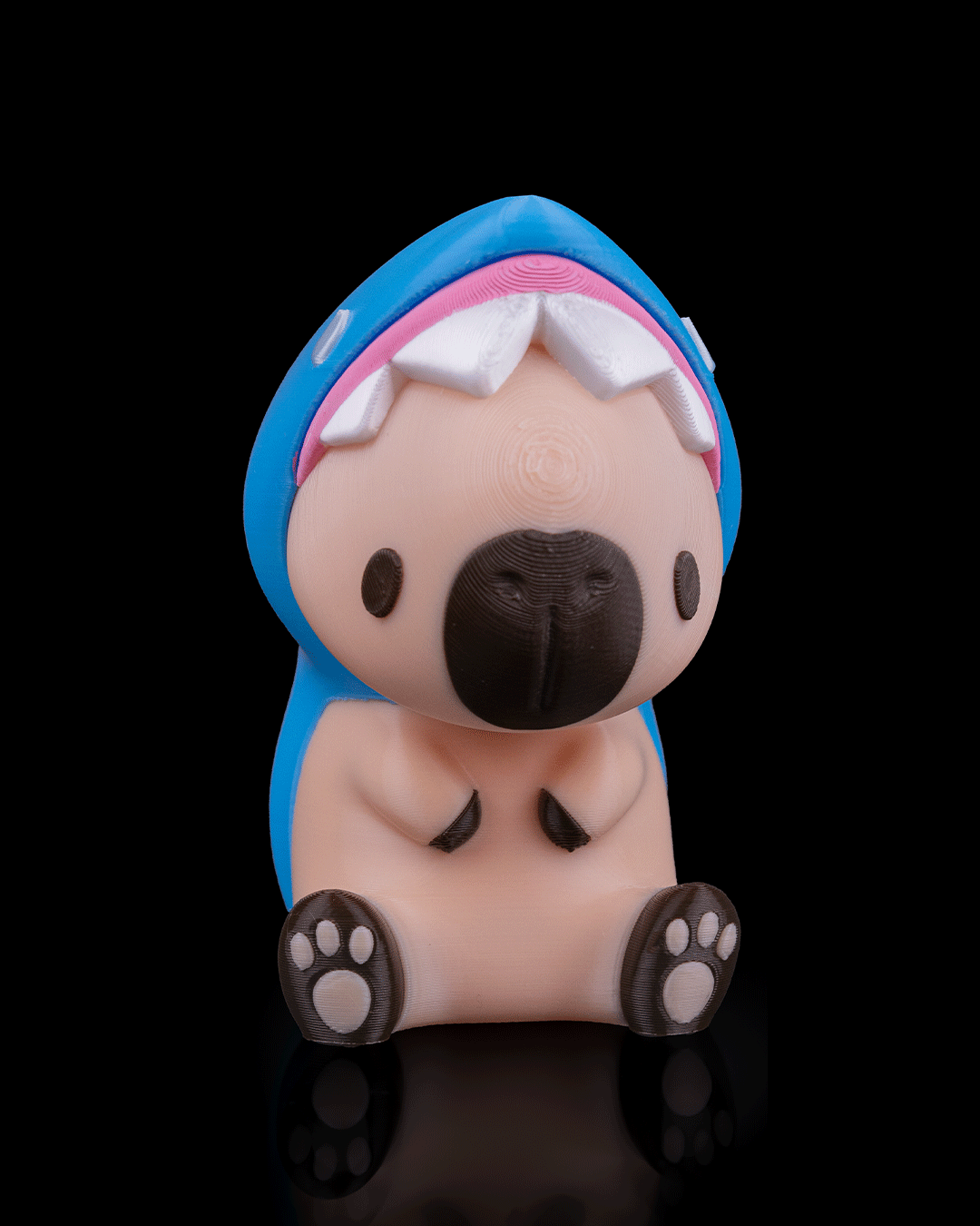 Sharkybara · view 2