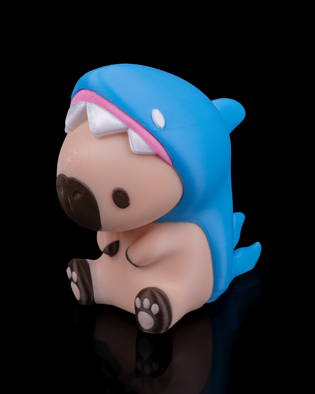 Sharkybara · view 3