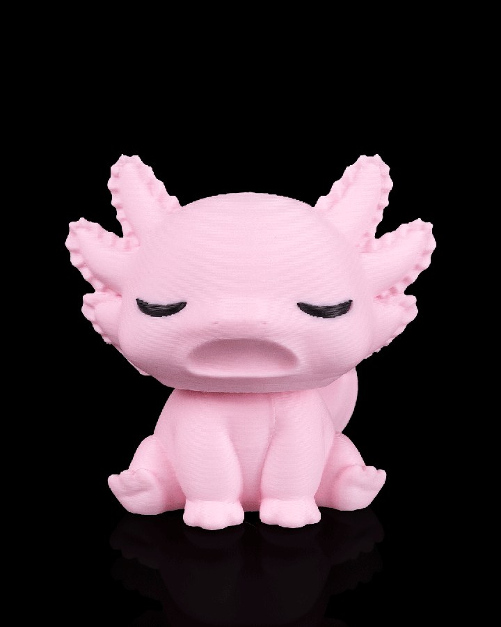 Sleepy Axolotl