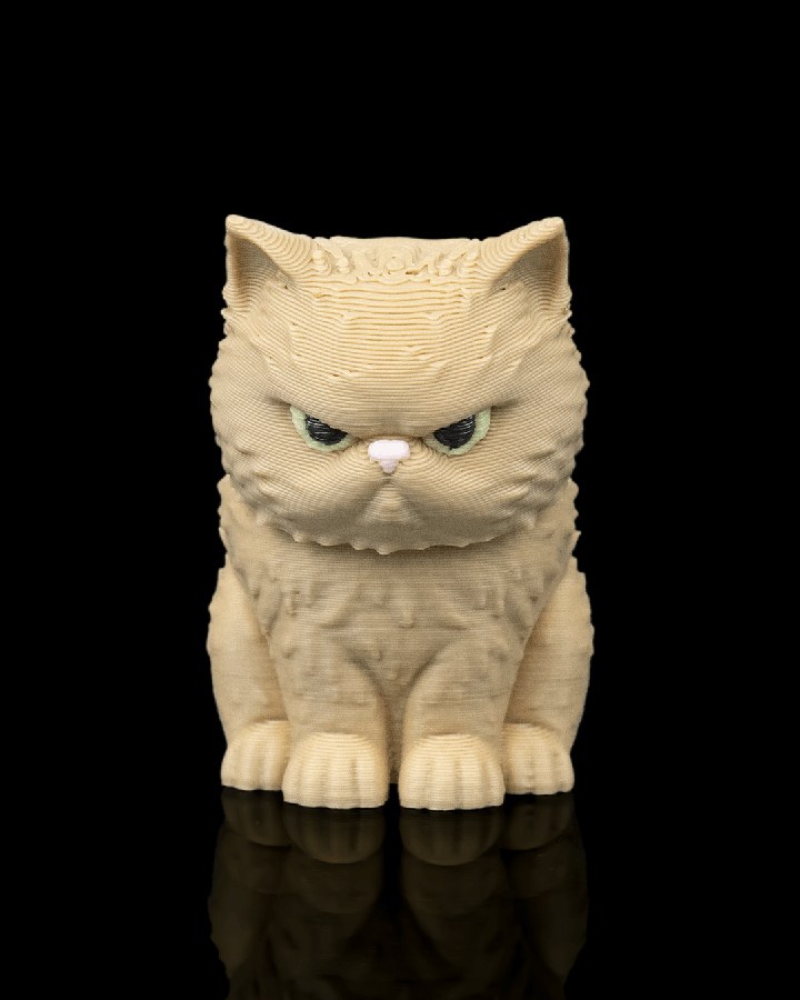 Sweetheart Persian Cat Backpack · view 2