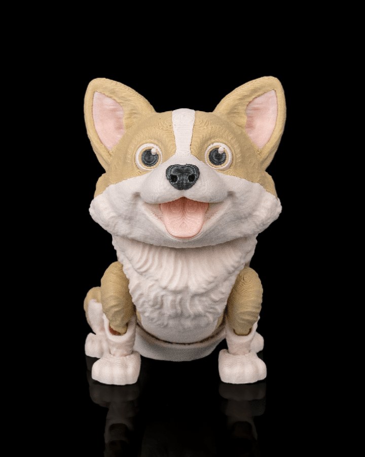 Willow, the Corgi