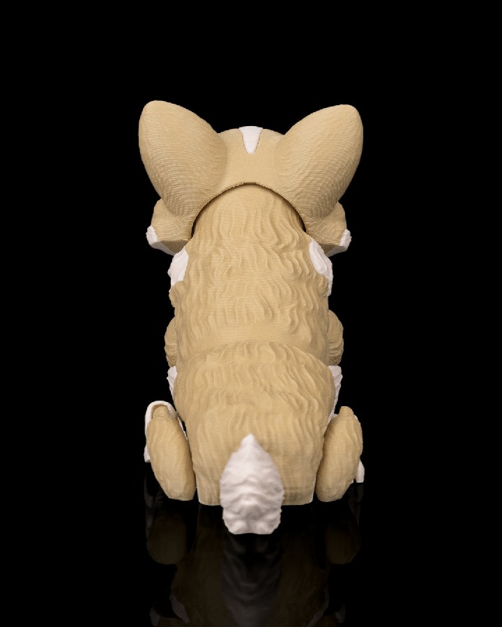 Willow, the Corgi · view 3